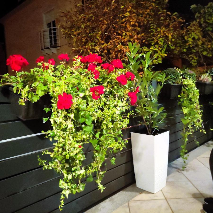 Sweet Home Apartment Maribor Exterior foto